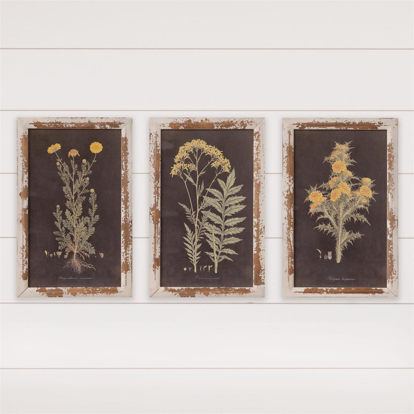 Yellow Flowers on Dark Background Print