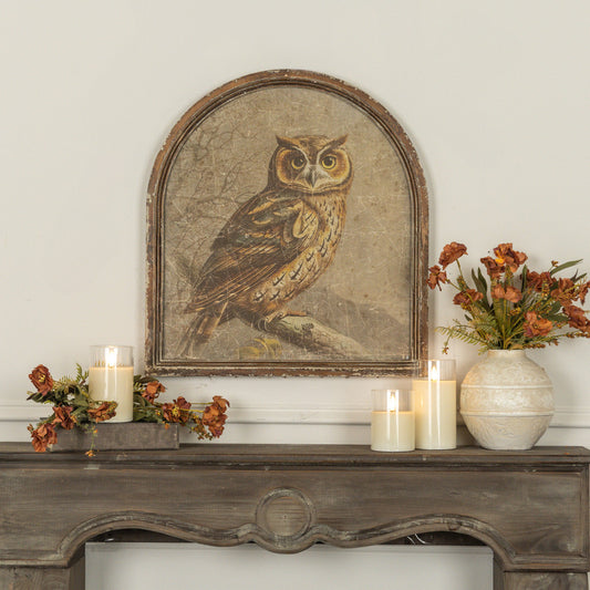 Arched Framed Great Horned Owl Print