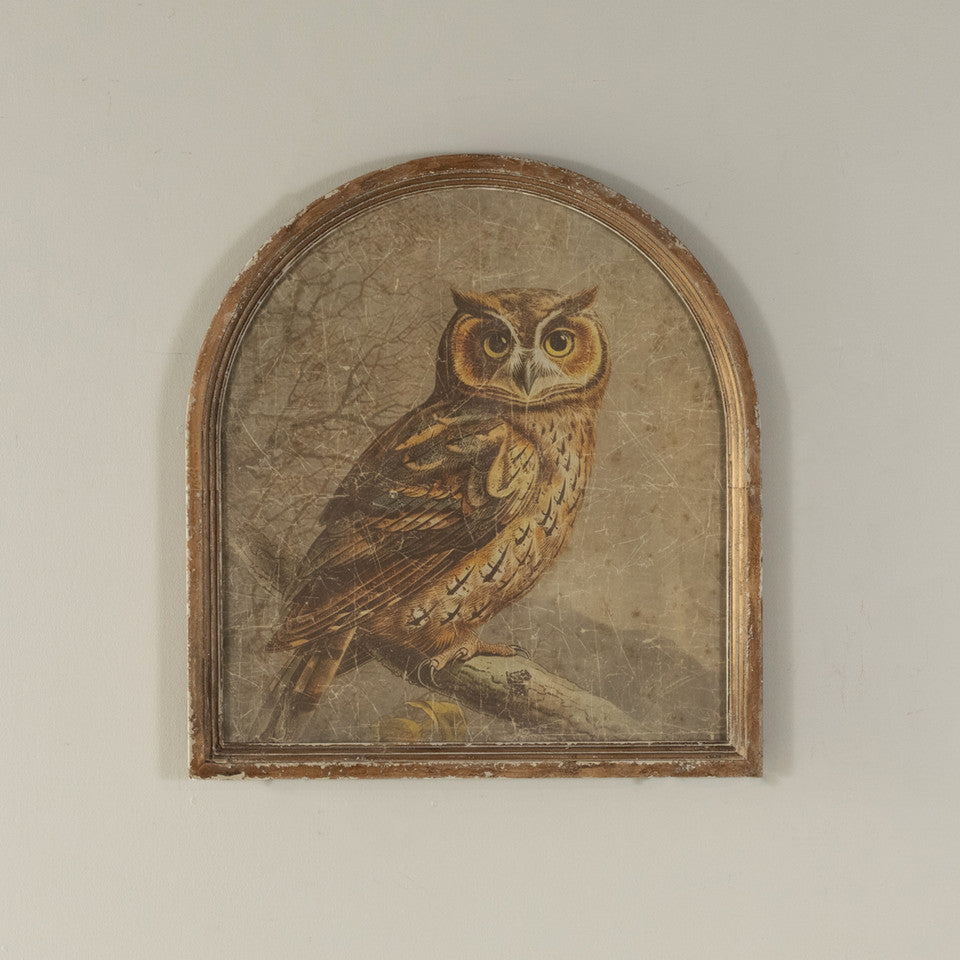 Arched Framed Great Horned Owl Print
