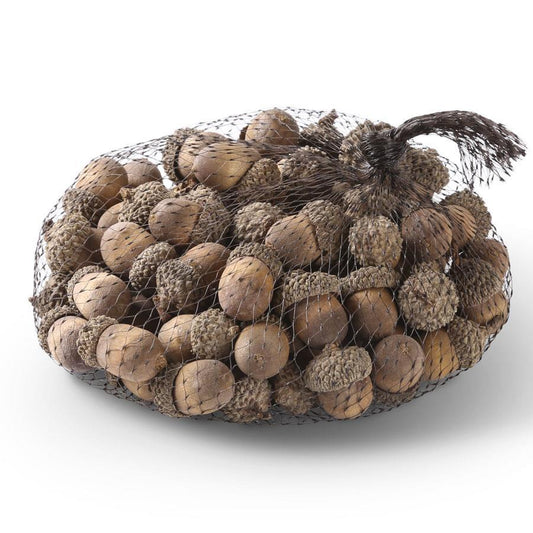 Cream Wood Acorns Bag