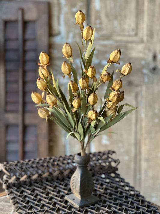 Beacon Bush | 23"
