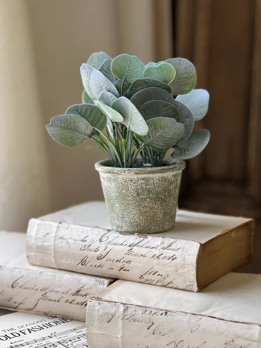 Belmont Pot | Silver | 8"