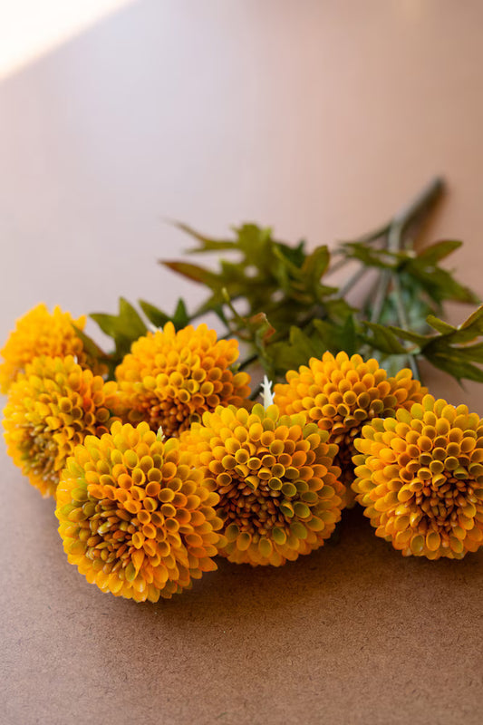 Mustard Ball Dahlias