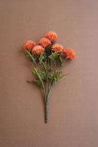 Orange Ball Dahlias