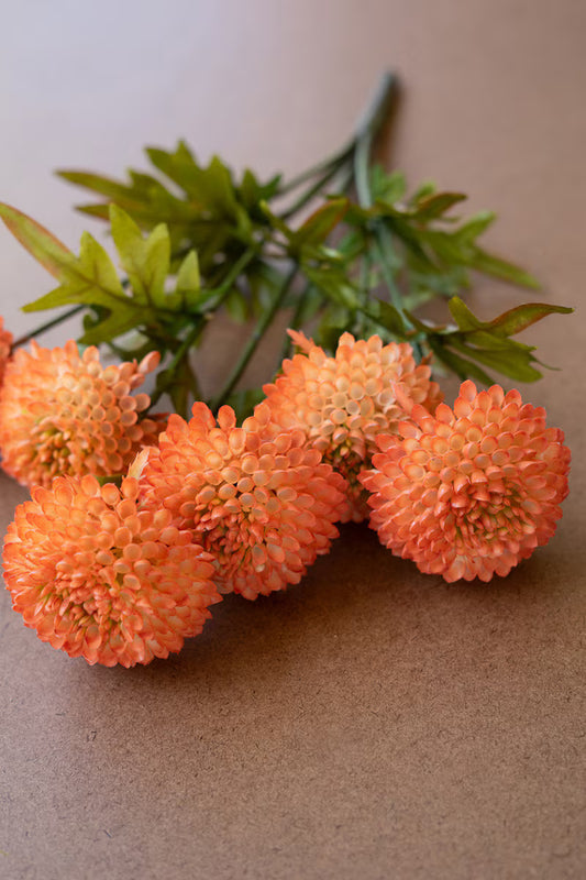 Orange Ball Dahlias