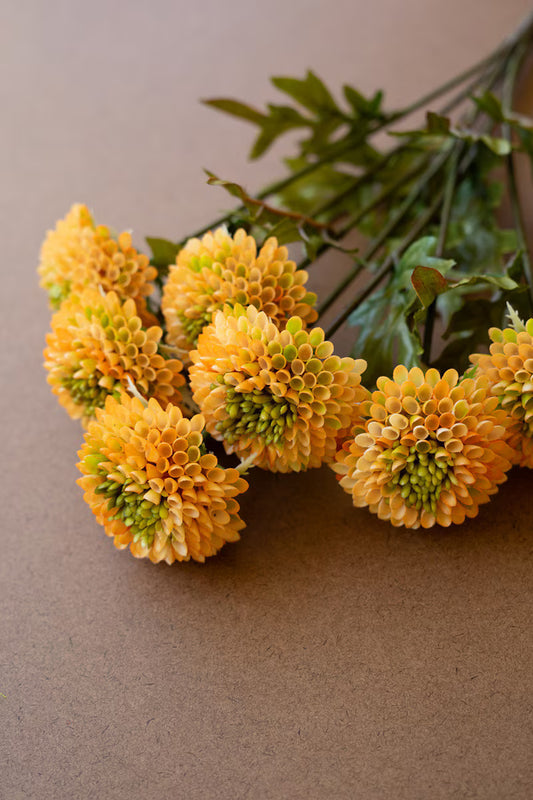 Yellow Ball Dahlias | 18"