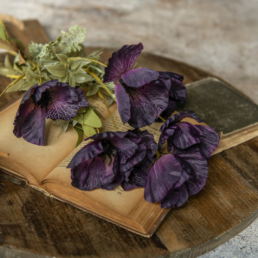Dark Purple Poppy Bush