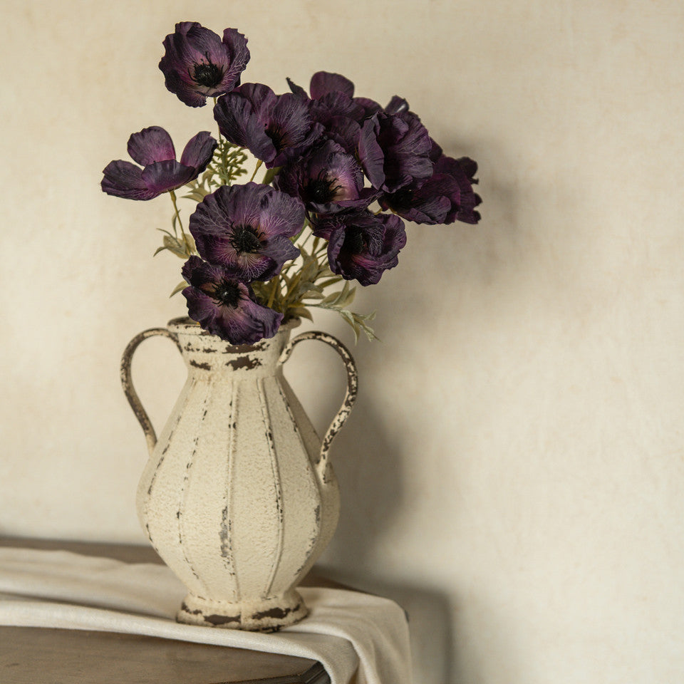 Dark Purple Poppy Bush