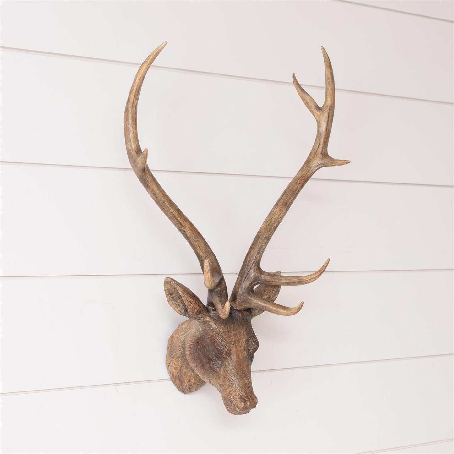 Wall Deer Head