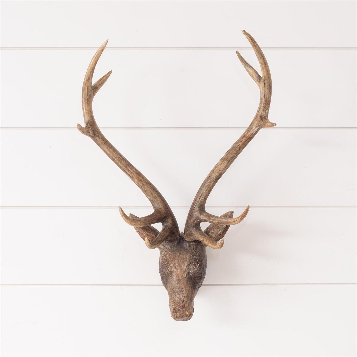 Wall Deer Head