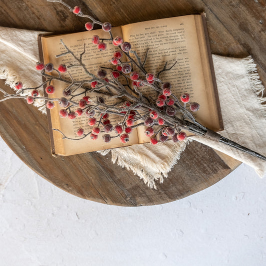 Frozen Red Berry Bundle