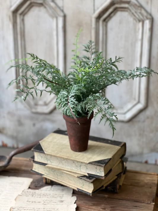 Foundry Potted Fern | 14"
