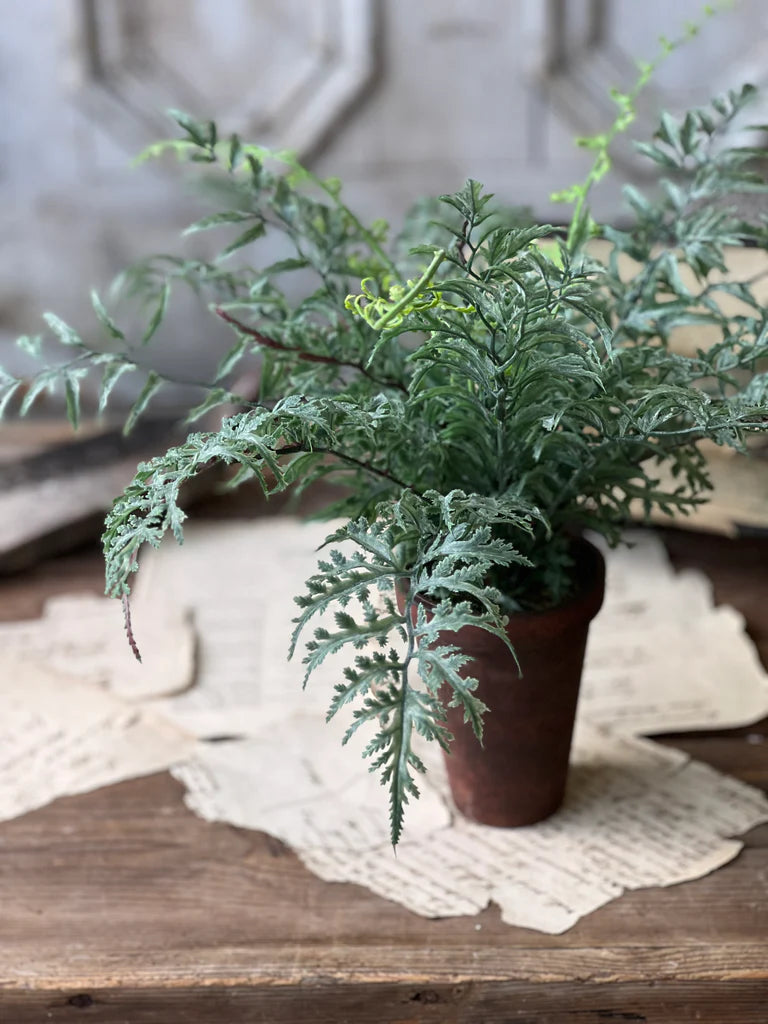Foundry Potted Fern | 14"