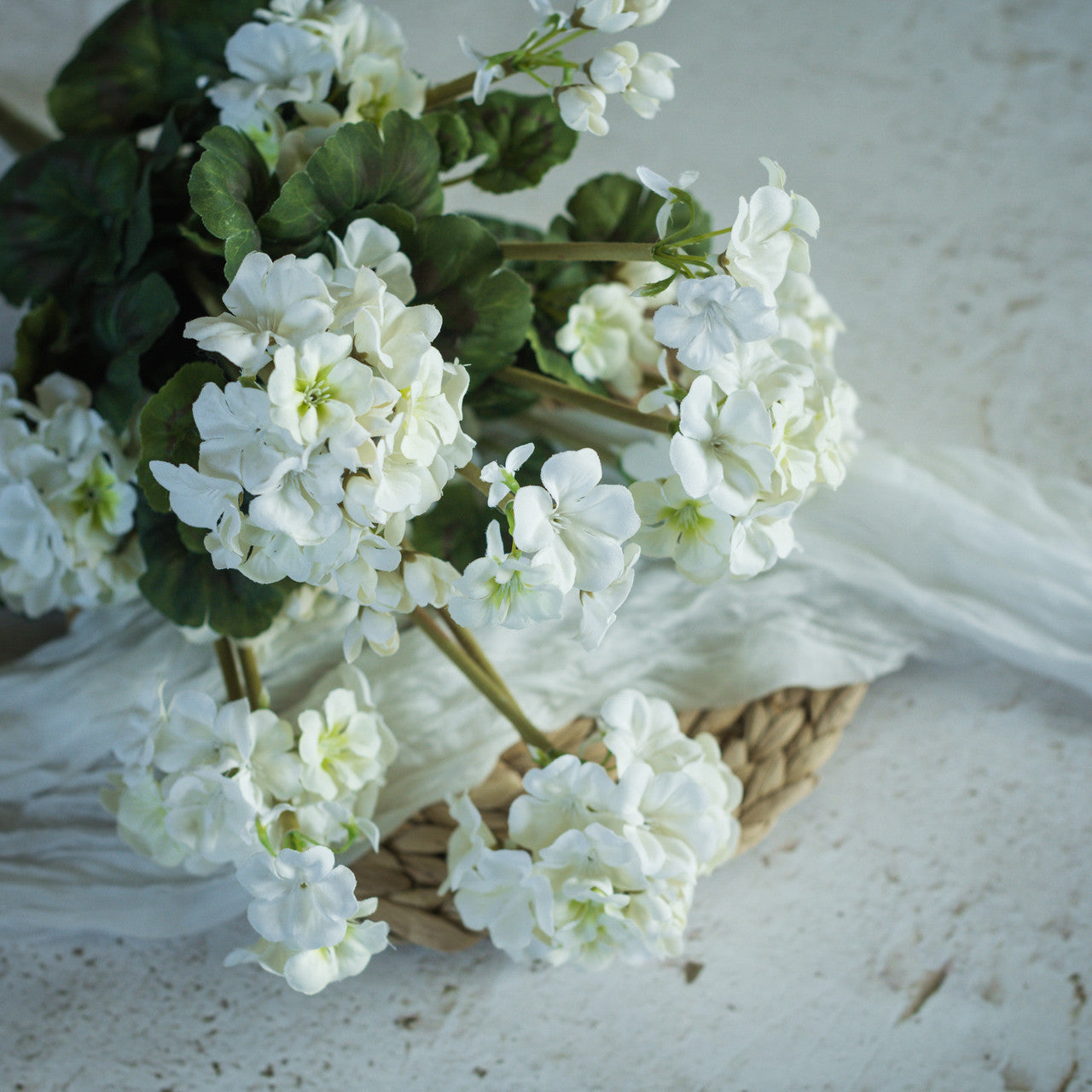 White Geranium Bush | 19.5