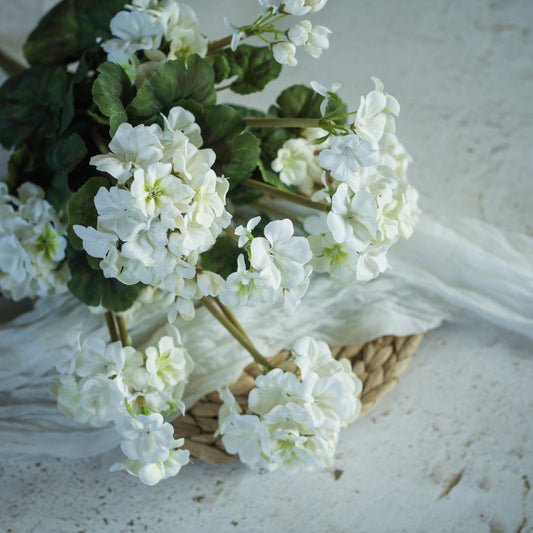 White Geranium Bush | 19.5