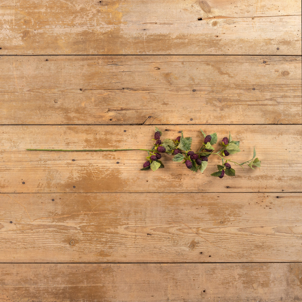Mulberry Stem | 28"