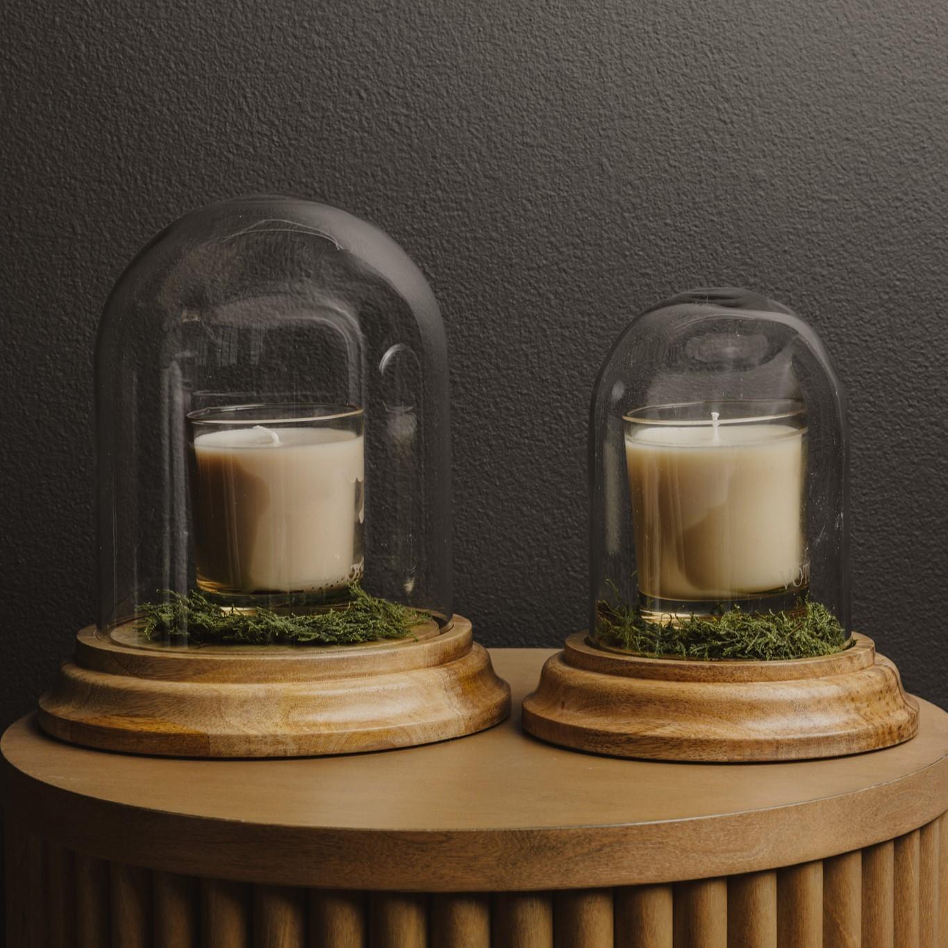 Glass Cloche With Wooden Base