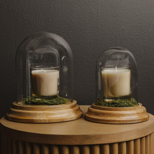Glass Cloche With Wooden Base