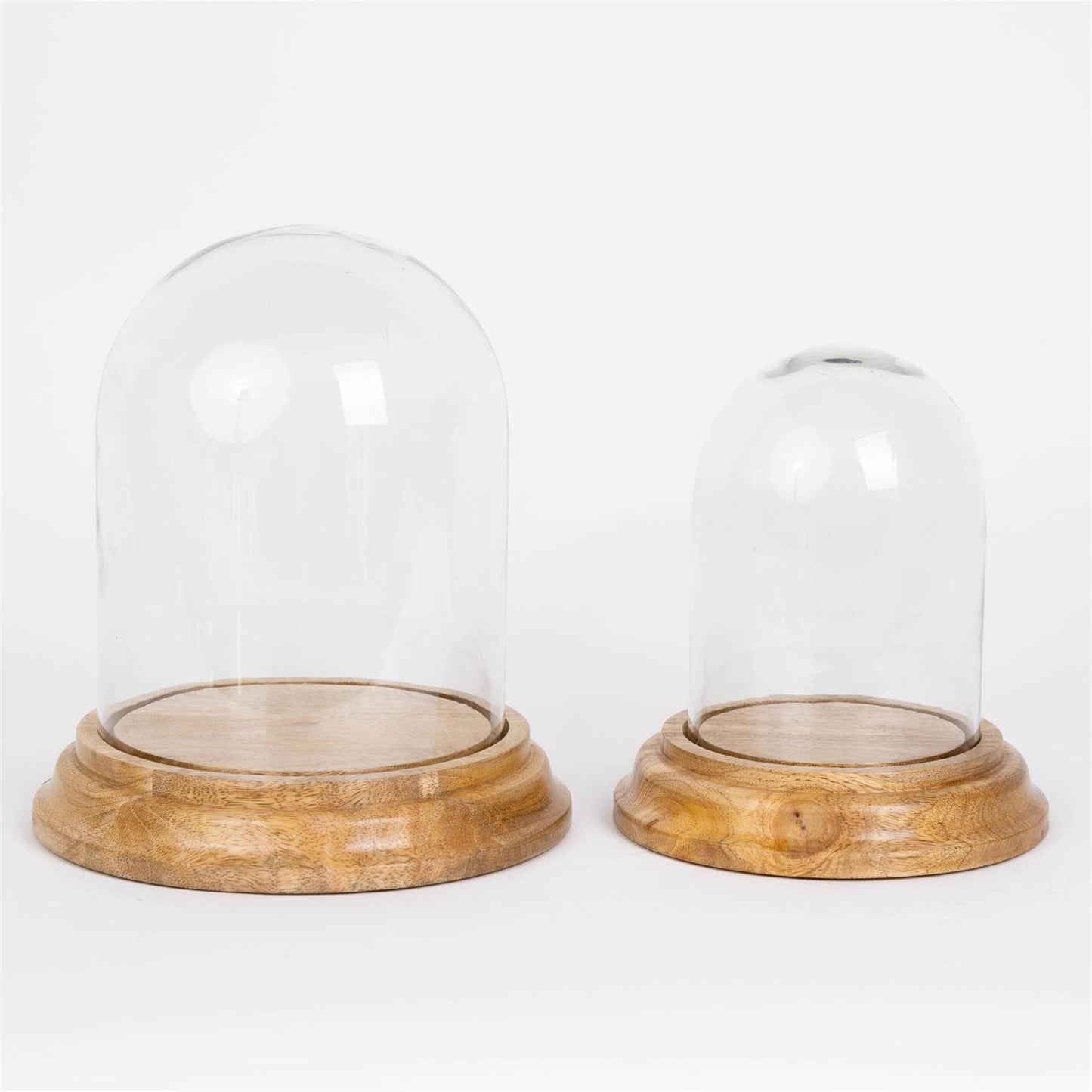 Glass Cloche With Wooden Base