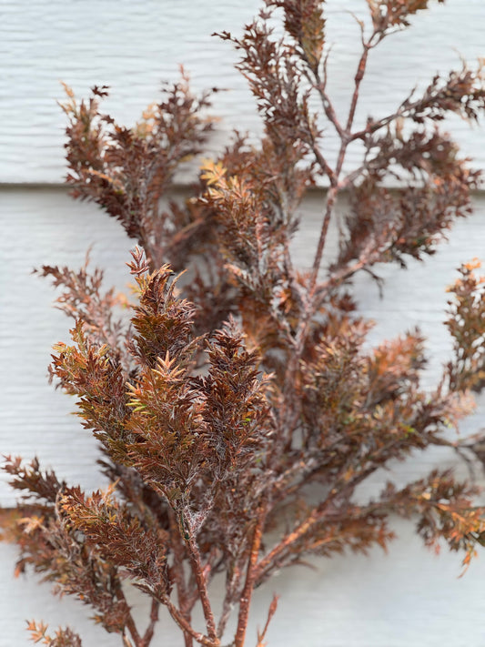Burgundy w/Green Cypress Branch | 31"