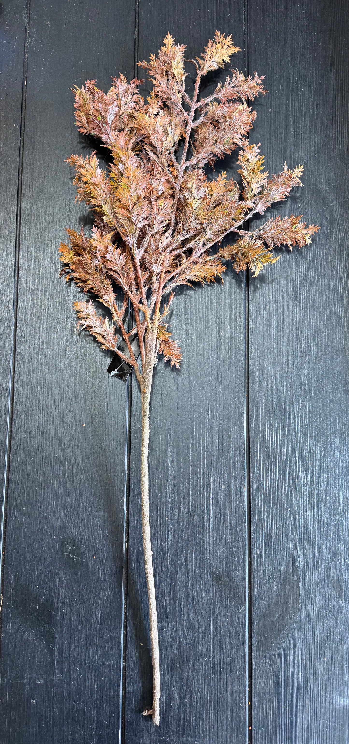 Burgundy w/Green Cypress Branch | 31"