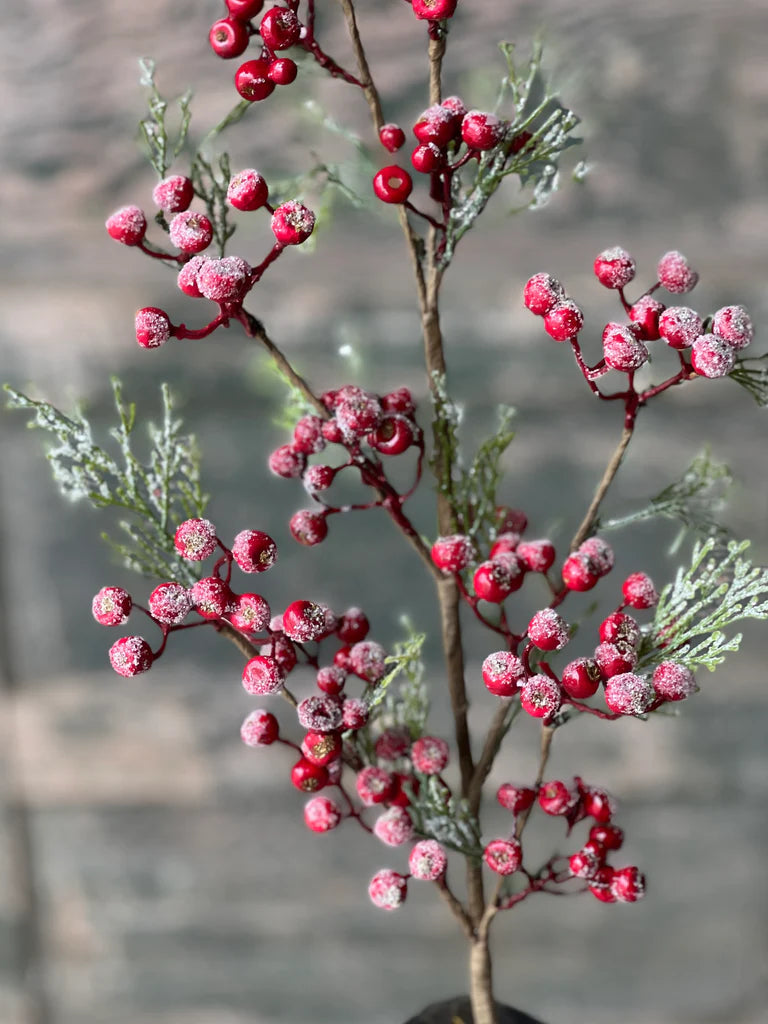 Icy Berry Cedar Spray