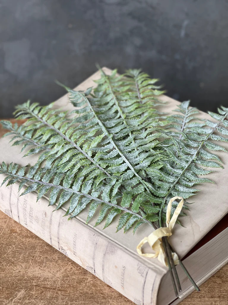 Longacre Fern Bundle | 20"