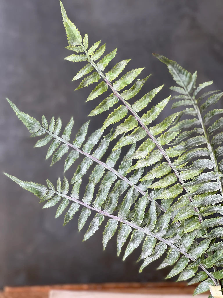 Longacre Fern Bundle | 20"