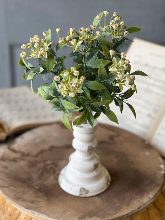 Lullaby Buds Bush | 14"