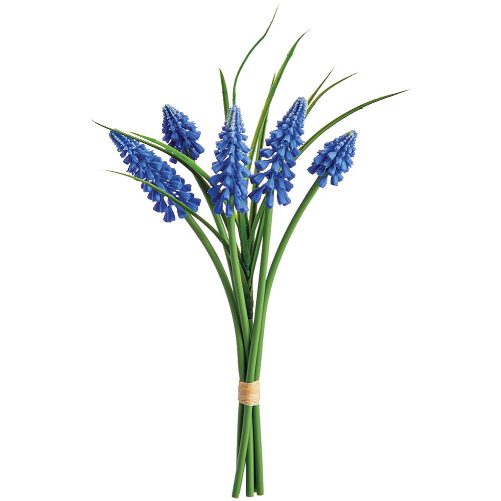 Muscari Bundle | 10"