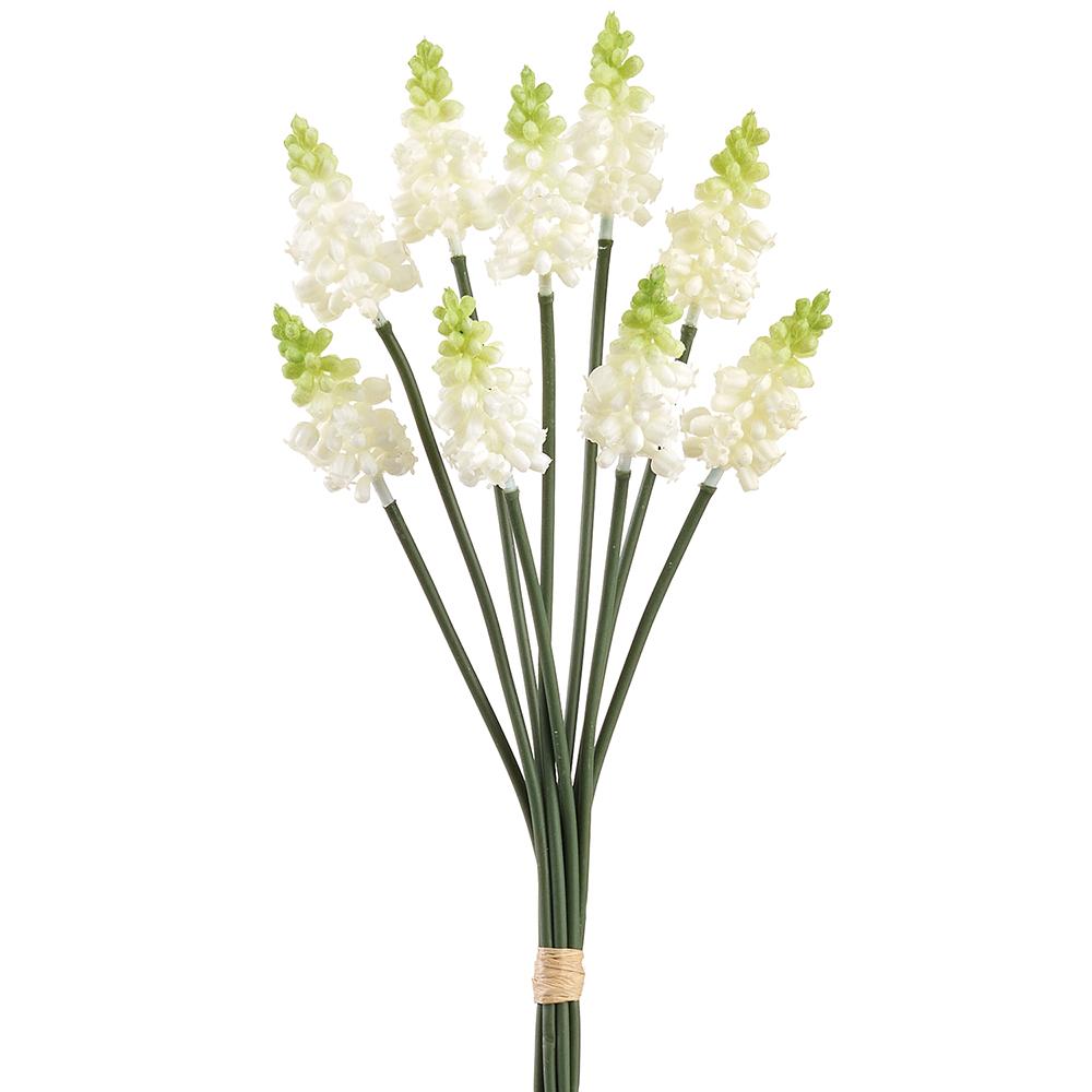 Muscari Bundle | 10"