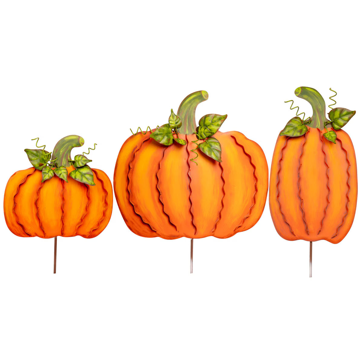 Ribbon Pumpkins Orange | Medium