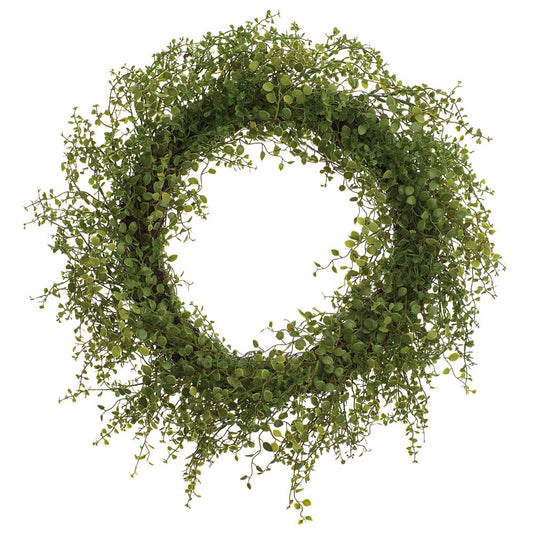 Muehlenbeckia Wire Wreath Green | 24"