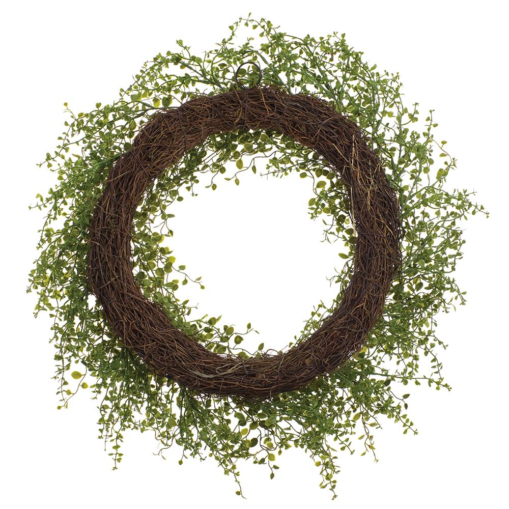 Muehlenbeckia Wire Wreath Green | 24"