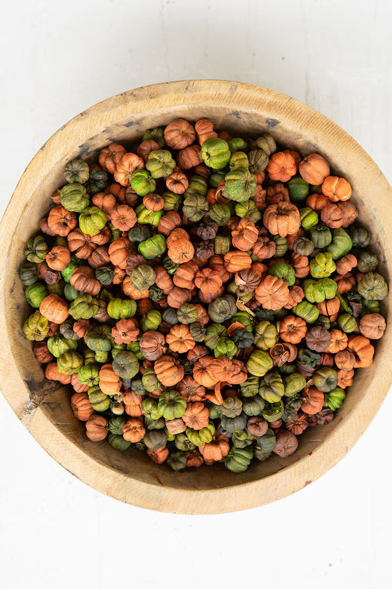 Orange and Green Putka Pods