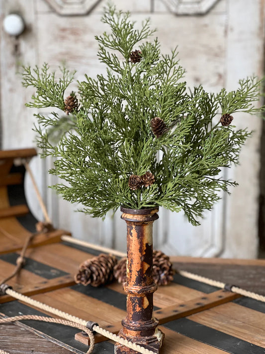 North Rim Hemlock Bush | 22"