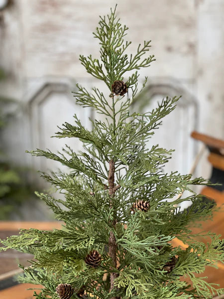 North Rim Hemlock Tree | 24"