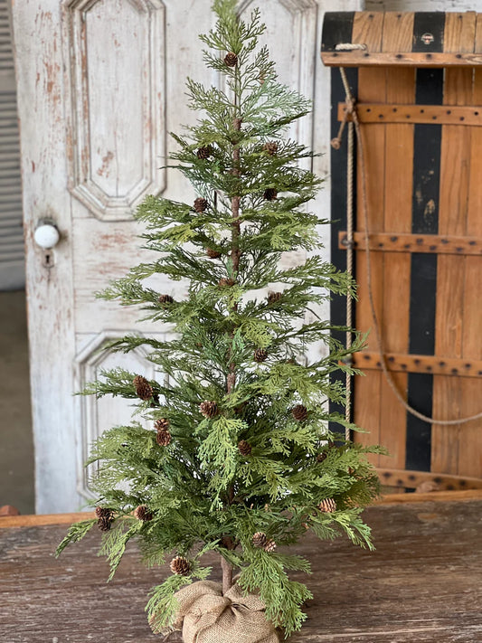 North Rim Hemlock Tree | 48"