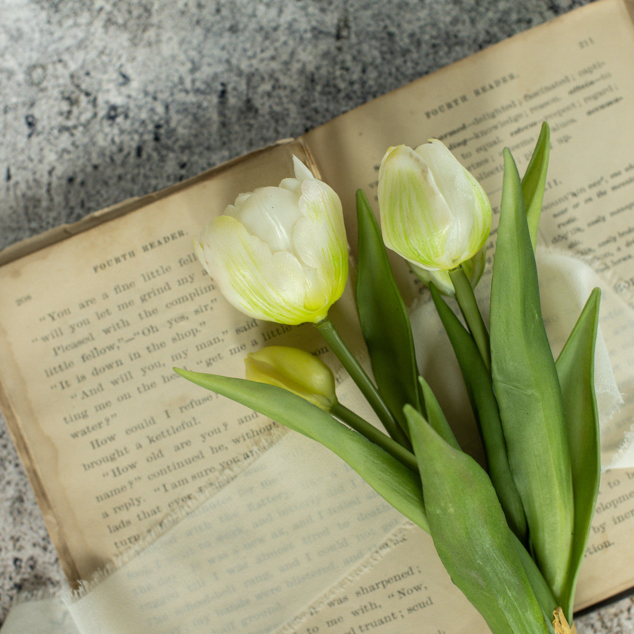 Green & White Tulip Bush | 9.5"
