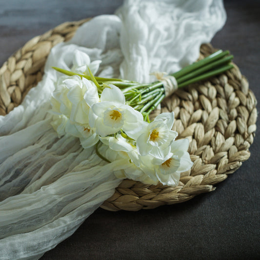 White Daffodil Bundle | 9.5"