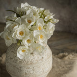 White Daffodil Bundle | 9.5"