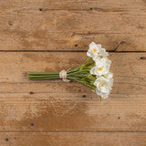 White Daffodil Bundle | 9.5"