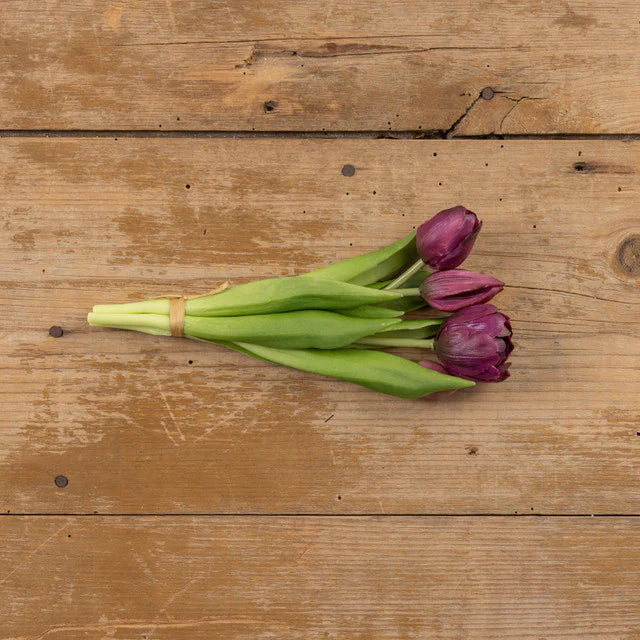 Dark Purple Tulip Bush | 9.5"