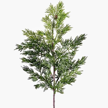 Cedar spray