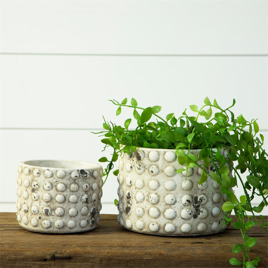 Bubble Planter