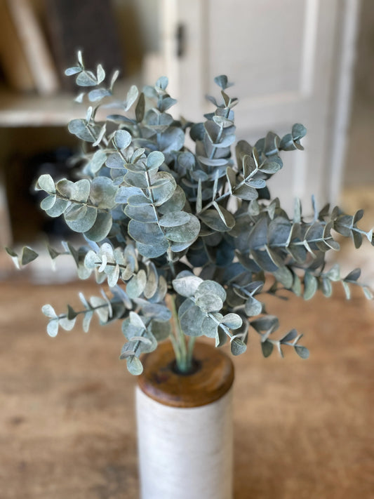 Pewter Sky Eucalyptus Bush | 12"