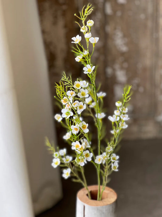 Pleasance Blooms | 35"