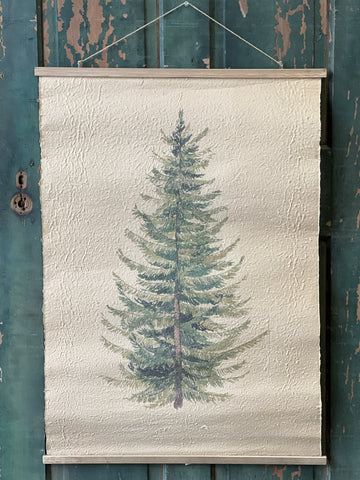 Hanging Scroll - Frasier Fir