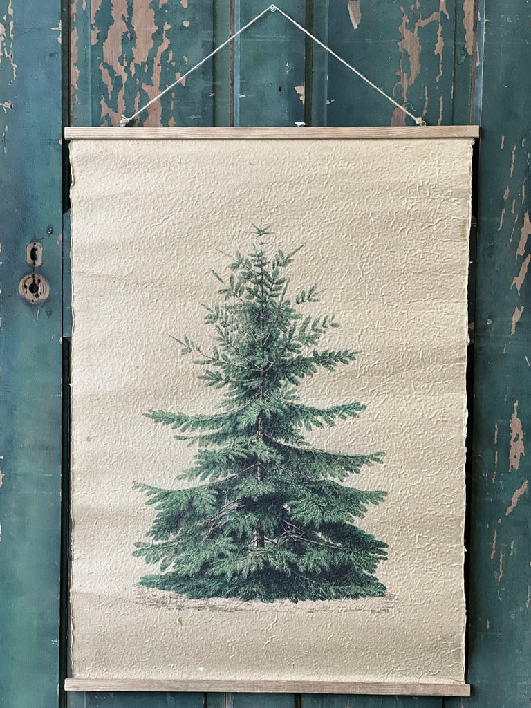 Hanging Scroll - Grand Fir