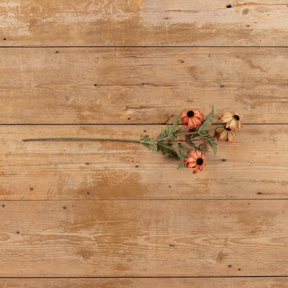 Black Eyed Susan Spray | Rust